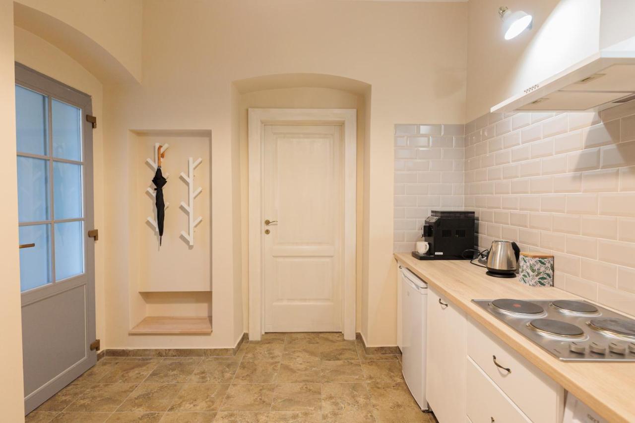 Cozy Apartment In The Historical City Center Timisoara Bagian luar foto